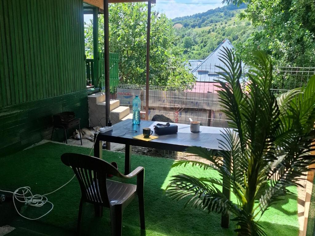 a table and a chair in a yard with a plant at CABANUȚA de sub Masivul Penteleu in Varlămul