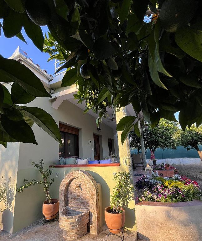 a house with potted plants in front of it at Pelion Malaki- Casa Verde in Malaki