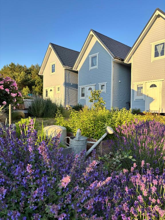 a row of houses with purple flowers in a garden at Domki Podniebo in Jarosławiec