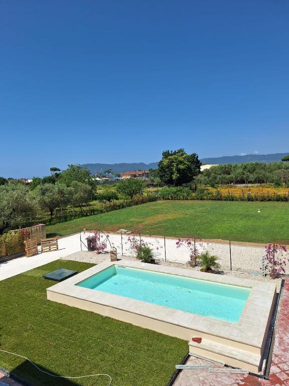 a swimming pool in the middle of a yard at DGD house in Carrara