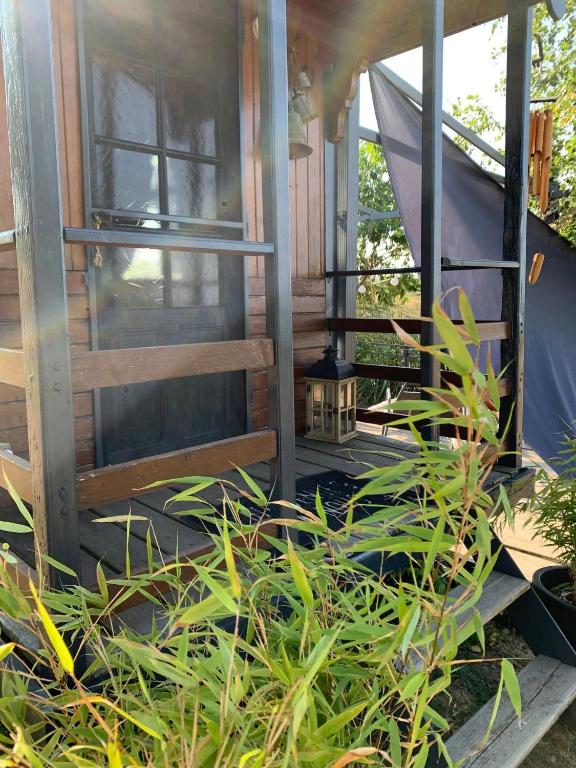 une terrasse couverte à l'avant d'une maison ornée de plantes dans l'établissement La roulotte d'Elicie, à Saint-Agnan-sur-Loire