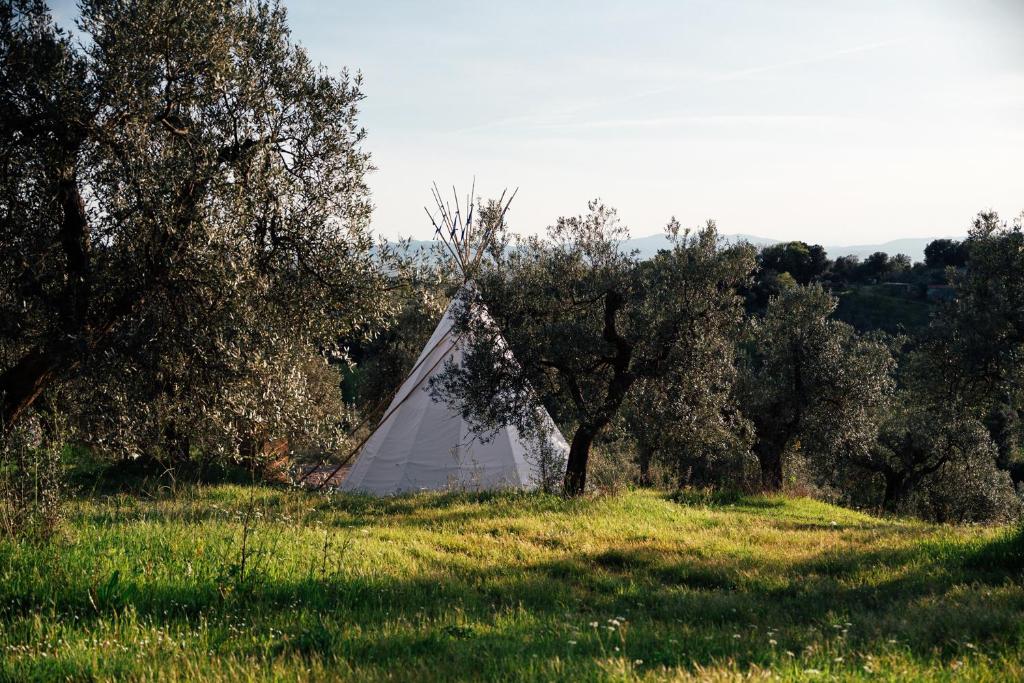 una tenda in mezzo a un campo alberato di Tepee - Glamping Maremma, Toscana a Roccastrada