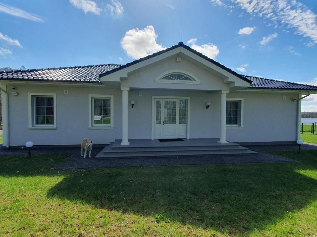 a house with a dog standing in front of it at Ziedulejas in Beika