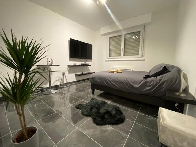 Charmant studio