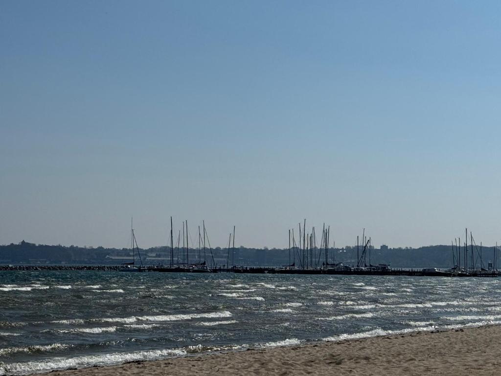 a group of boats docked in a body of water at Ferienwohnung in Glücksburg