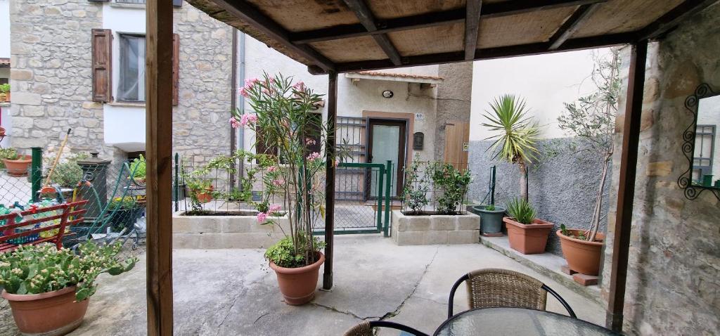 a patio with a bunch of potted plants at A Casa dalla Ross in Marzabotto
