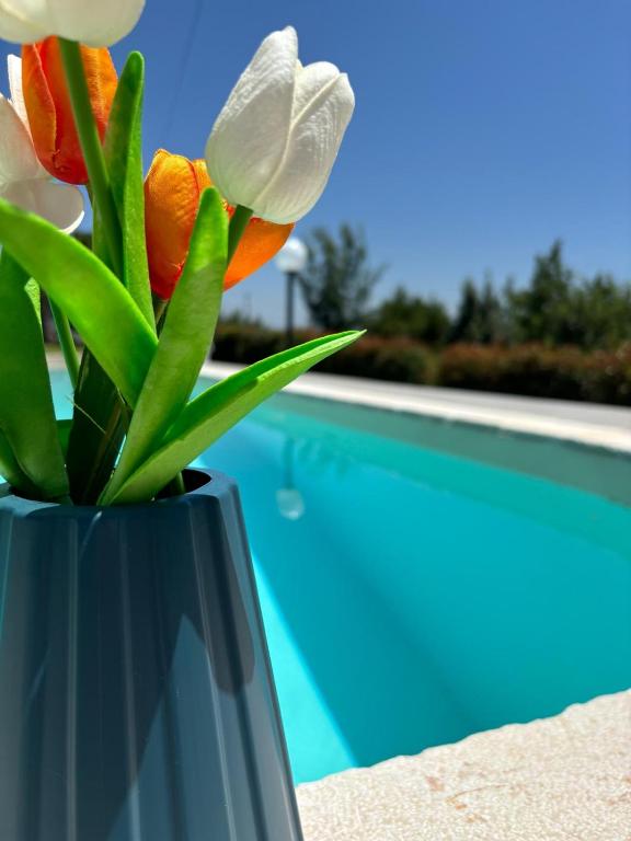 a vase with flowers in it next to a swimming pool at Confini Retreat in Minturno