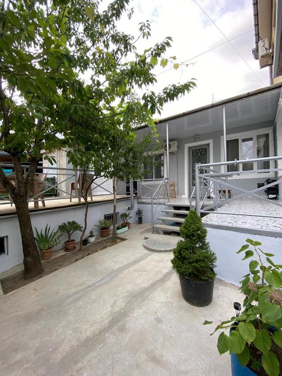 a courtyard of a building with a tree and some plants at Andre in Kutaisi
