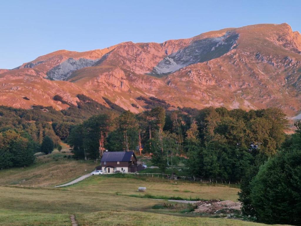 una casa su una collina di fronte a una montagna di GUEST HOUSE PRIVAL.CLUB a Žabljak