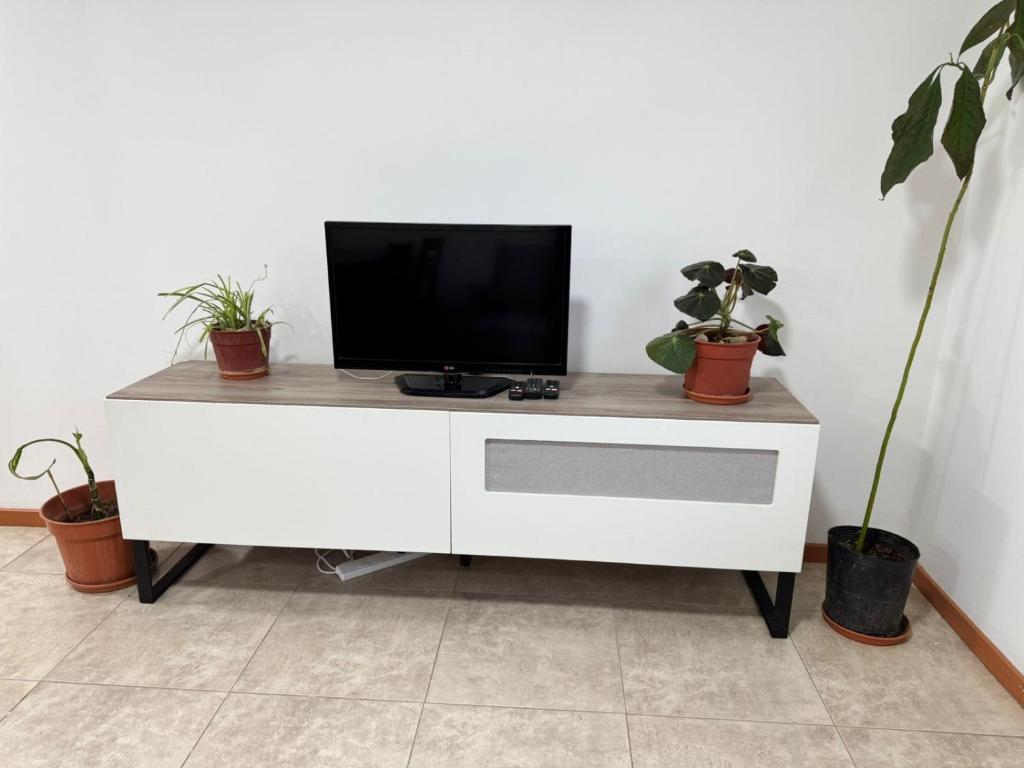 a tv on a white cabinet with potted plants at Ushuaienses in Ushuaia