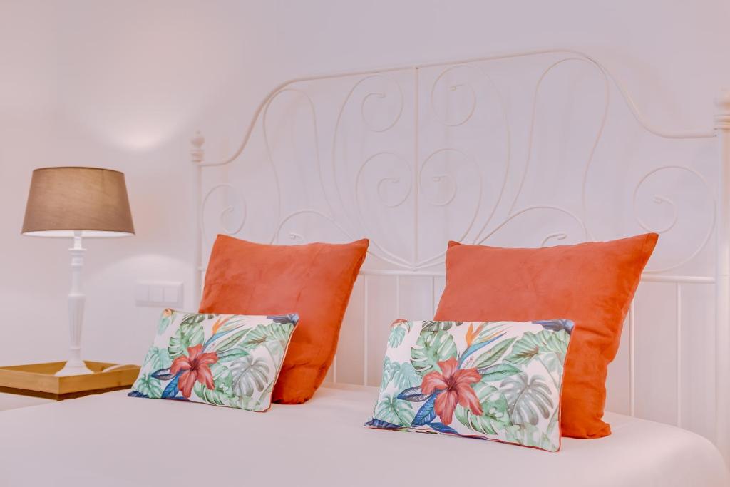 Quinta Almargem Lusitano - Farm House - 12