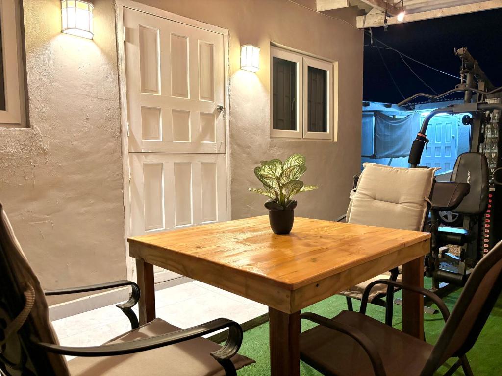 a table with a potted plant on it in a room at The Almas Apartment in Willemstad