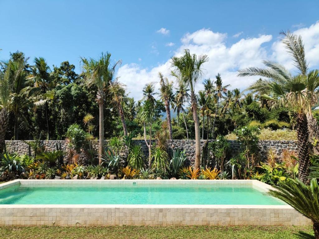 Villa Cactus is far from home but like your home Villa Cactus 3 BR isn't just a tropical villa in the heart of a coconut grove it's a feeling Next door Villa Sungai also offers 2 BR and 1 Bungalow Ability to accommodate 12 peopleの敷地内または近くにあるプール