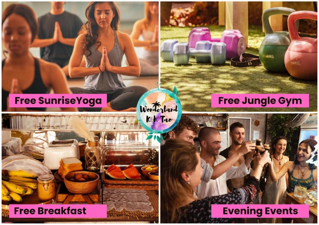 Wonderland Jungle Hostel - 3