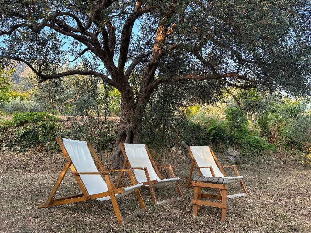 Imagen de la galería de Gazdinstvo Đurović, en Dobra Voda