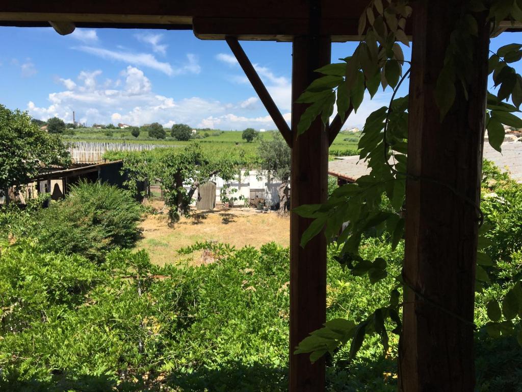een uitzicht vanuit het raam van een huis met uitzicht op een veld bij B&B Il Secolo Breve in Ortona
