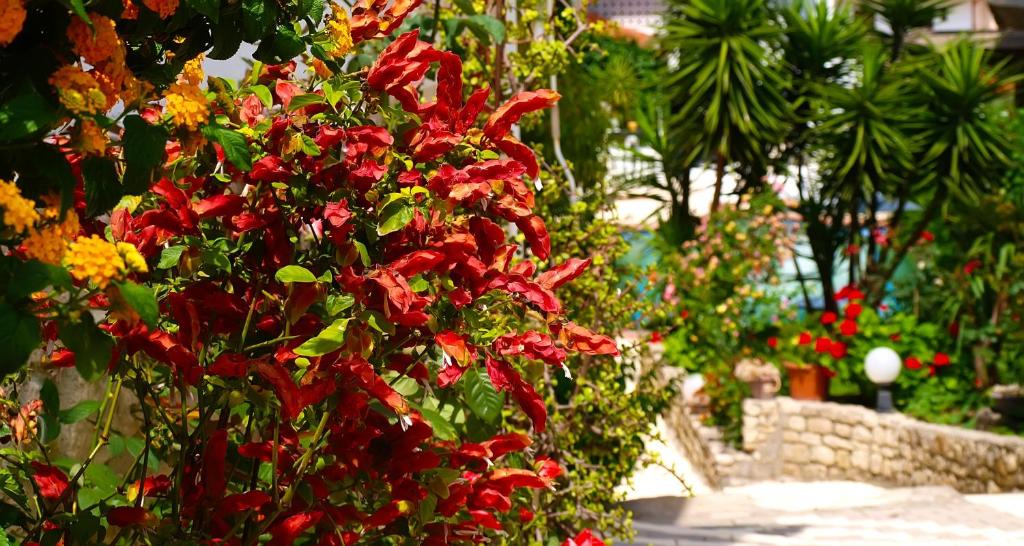Giardino di Hotel Pighi