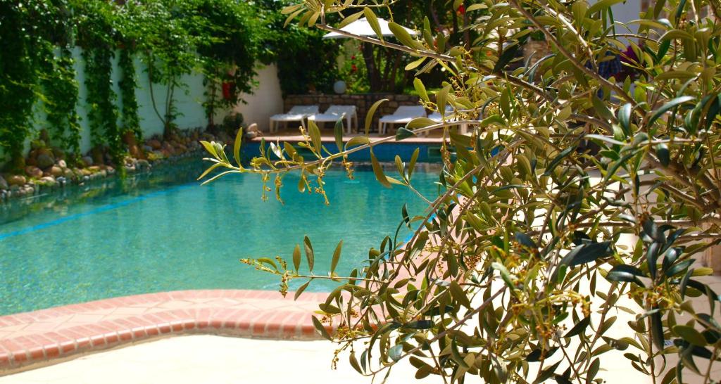 Piscina di Hotel Pighi o nelle vicinanze