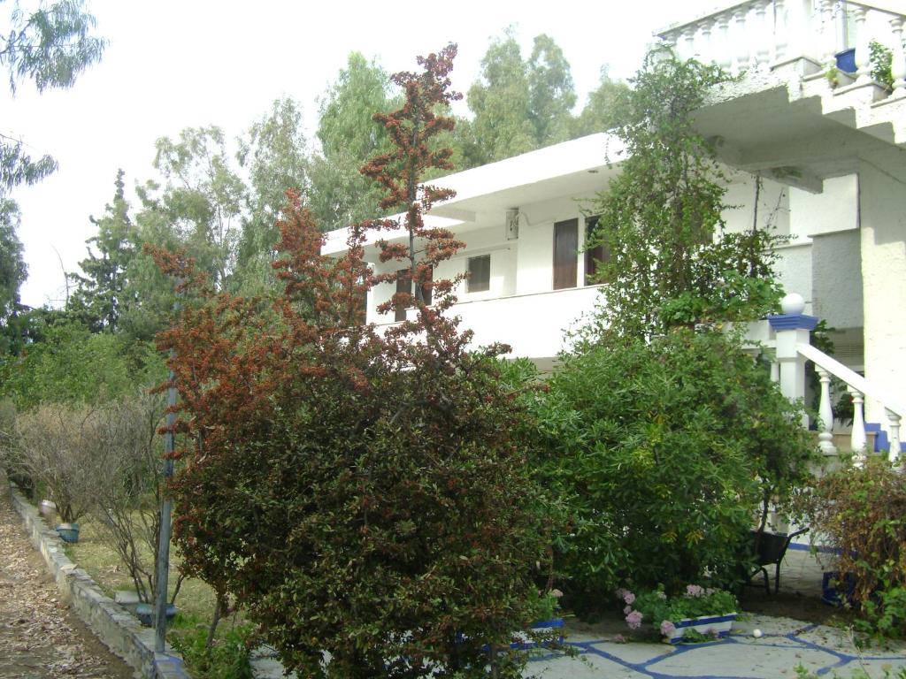 uma casa branca com árvores em frente em Villa Zoi em Thrónion