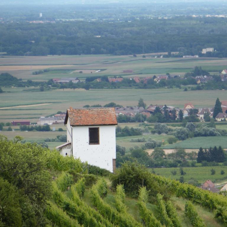 Příroda nedaleko apartmánu