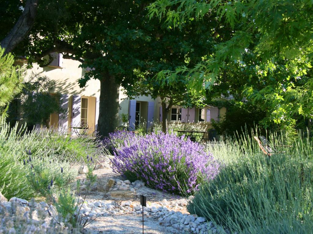 un jardín con flores púrpuras frente a una casa en Couleur Lavande, en Le Thor