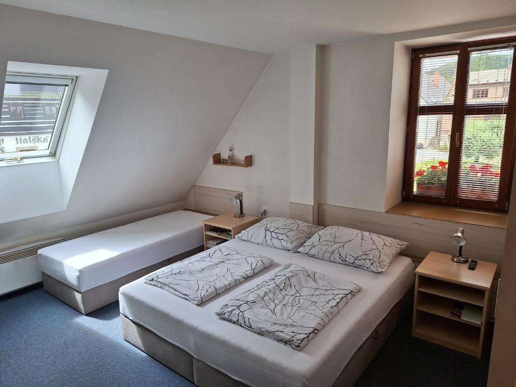 a bedroom with two beds and two windows at Penzion U Vorlíčků in Jablonné nad Orlicí
