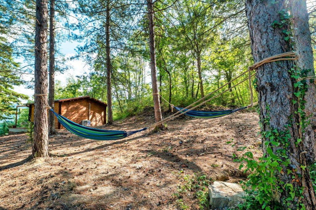 un par de hamacas en el bosque en La casetta nel bosco, en Asís