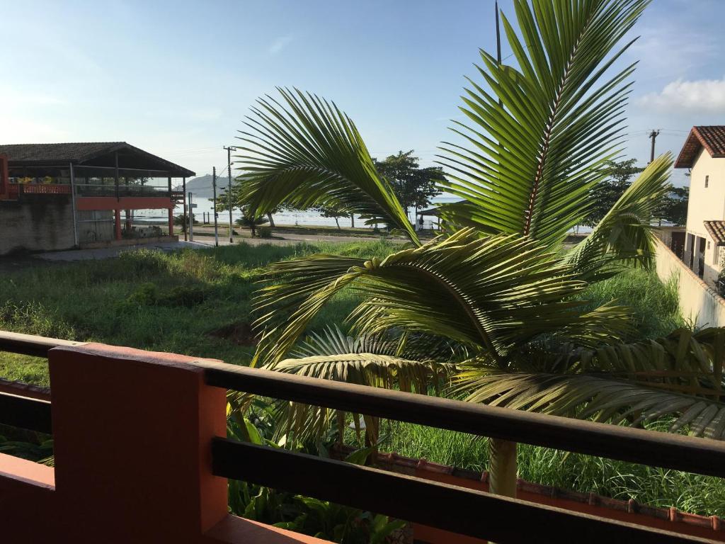 a palm tree sitting next to a fence at Pousada Refúgio D´Mar in Ubatuba