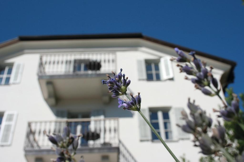 ラグンドにあるFrühmesserhaus Refugium zu Sanct Kassianの白い建物前の紫色の花