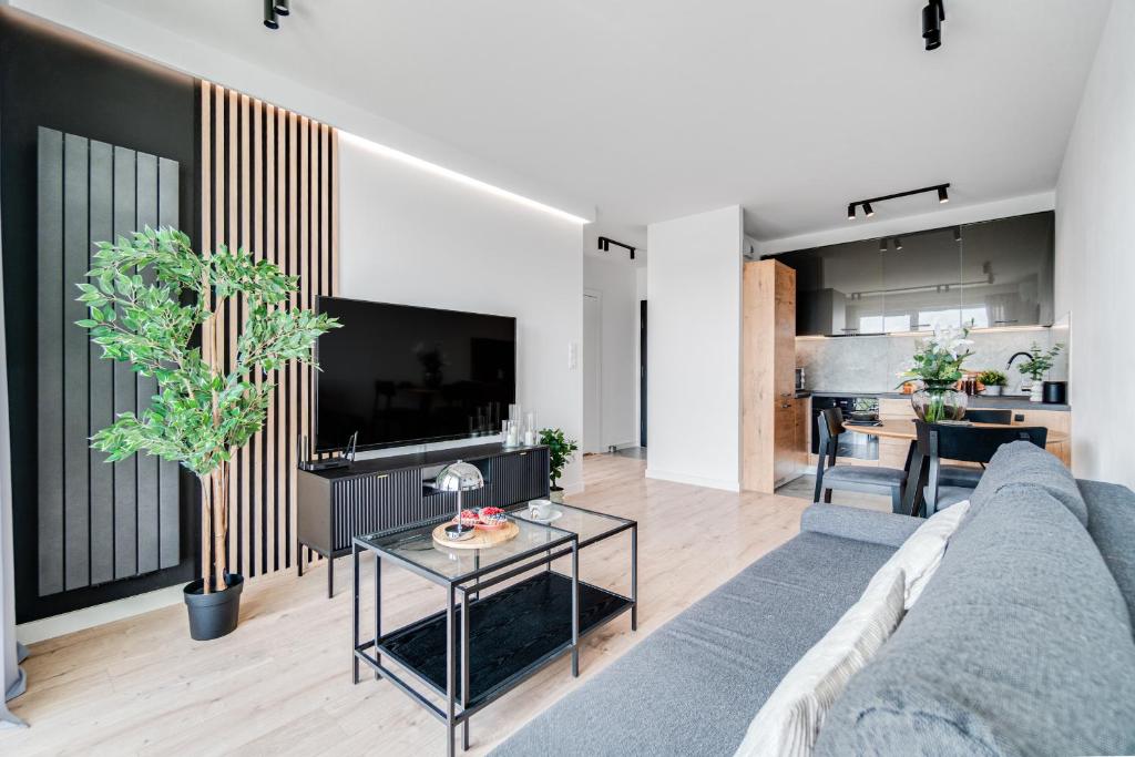 TV a/nebo společenská místnost v ubytování Rent Invest - Braniborska Apartament Parking Klimatyzacja