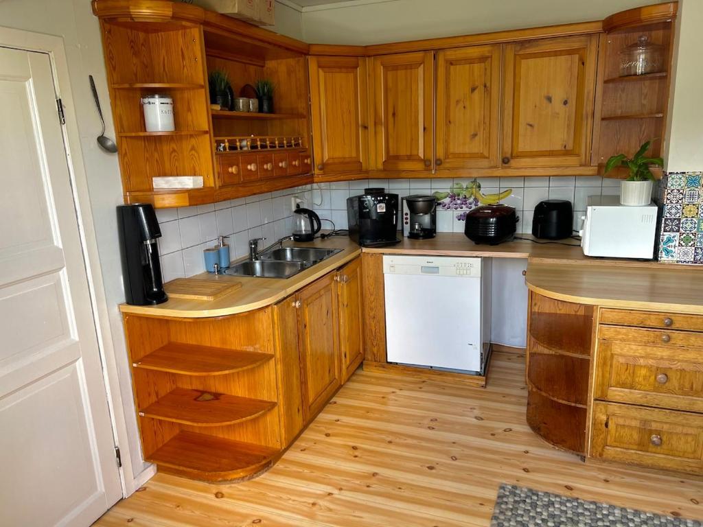 Dapur atau dapur kecil di Studio in Os Near Bergen