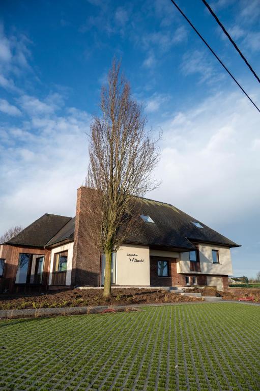 a house with a tree in front of it at Vakantiehuis 't Alkeveld in Zottegem
