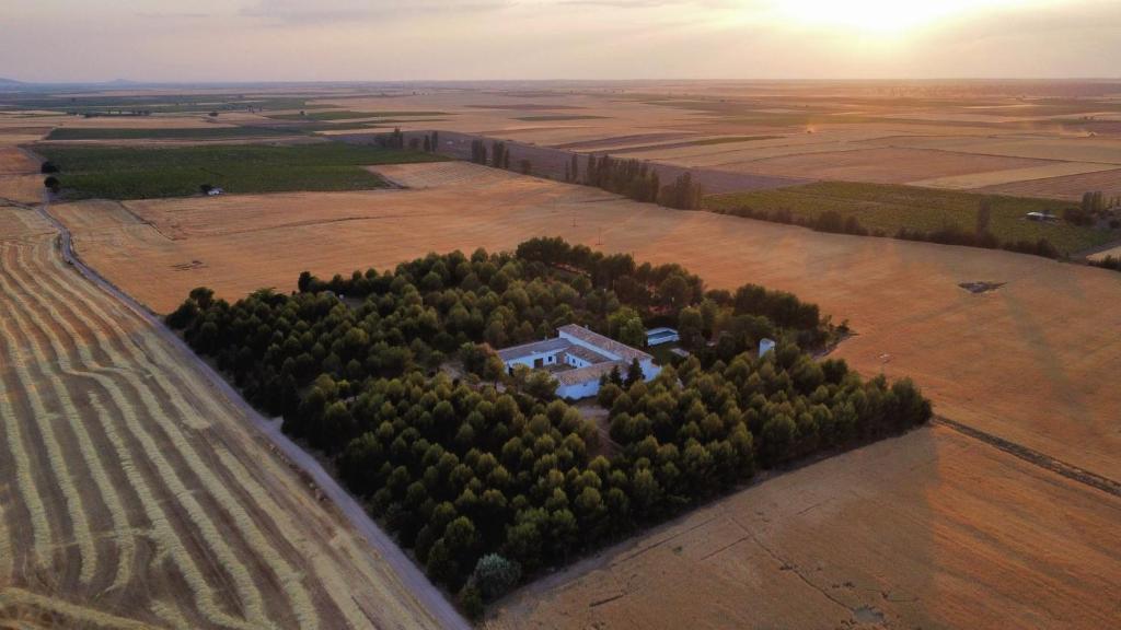 une île d'arbres avec une maison au milieu dans l'établissement La Casa del Marqués, à Horcajo de Santiago
