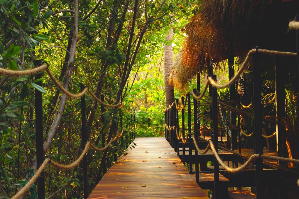 een houten brug in de jungle met een bamboepad bij Hotel Noga in Zipolite