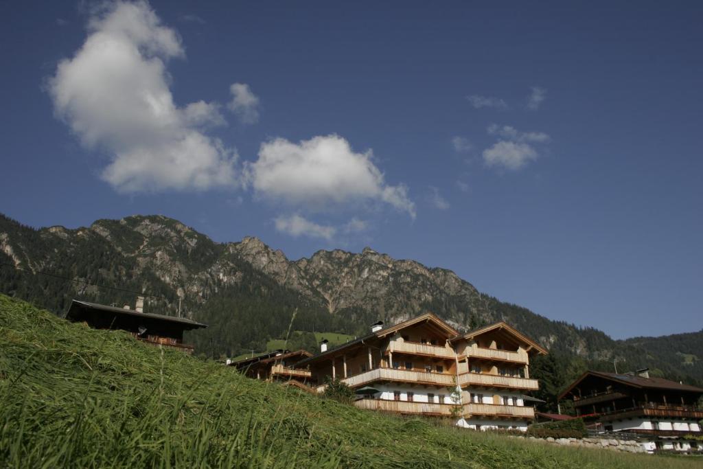 Príroda v okolí of the country house