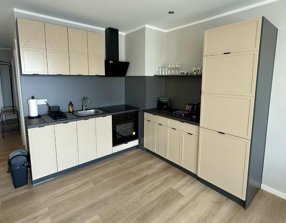 een keuken met witte kasten en een zwart aanrechtblad bij Twenty2 Apartments in Brühl