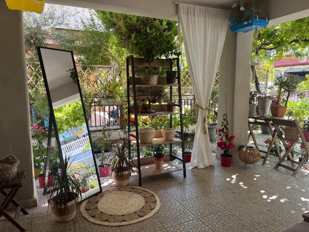 Gallery image of Nopi Rooms in Olympiaki Akti