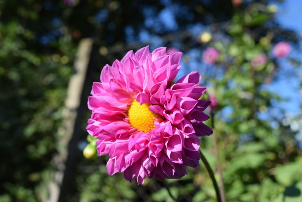  Pousada Saint Gottard