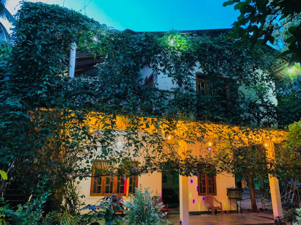 Aloe Vera Guest House - 11