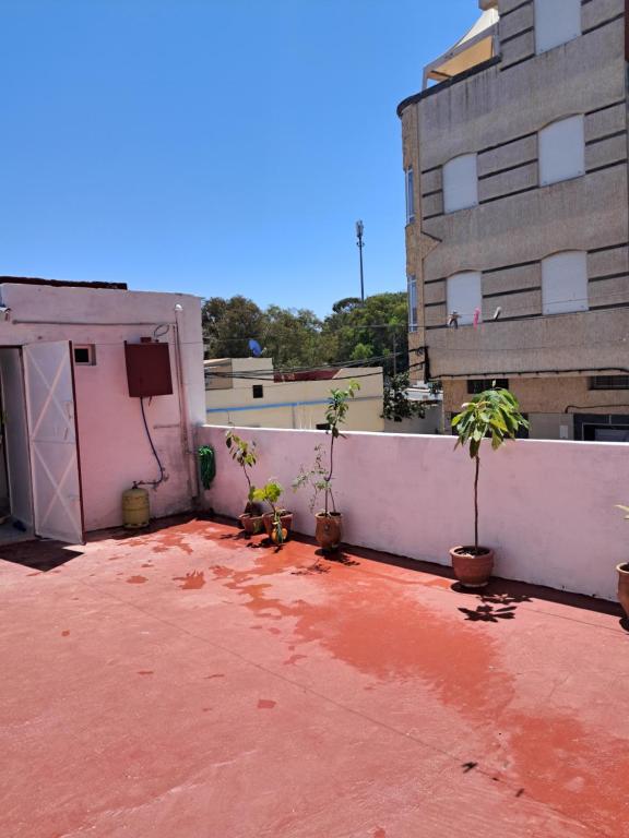 a balcony with potted plants on a building at Casa Abdel in Larache