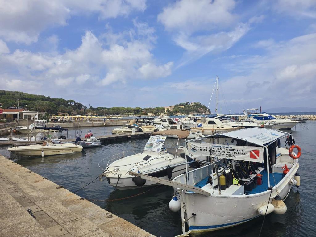 Imagen de la galería de Appartamento Soliluna - Goelba, en Cavo