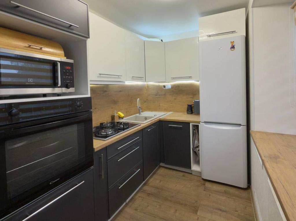 a small kitchen with a refrigerator and a sink at Soldino Apartments in Narva