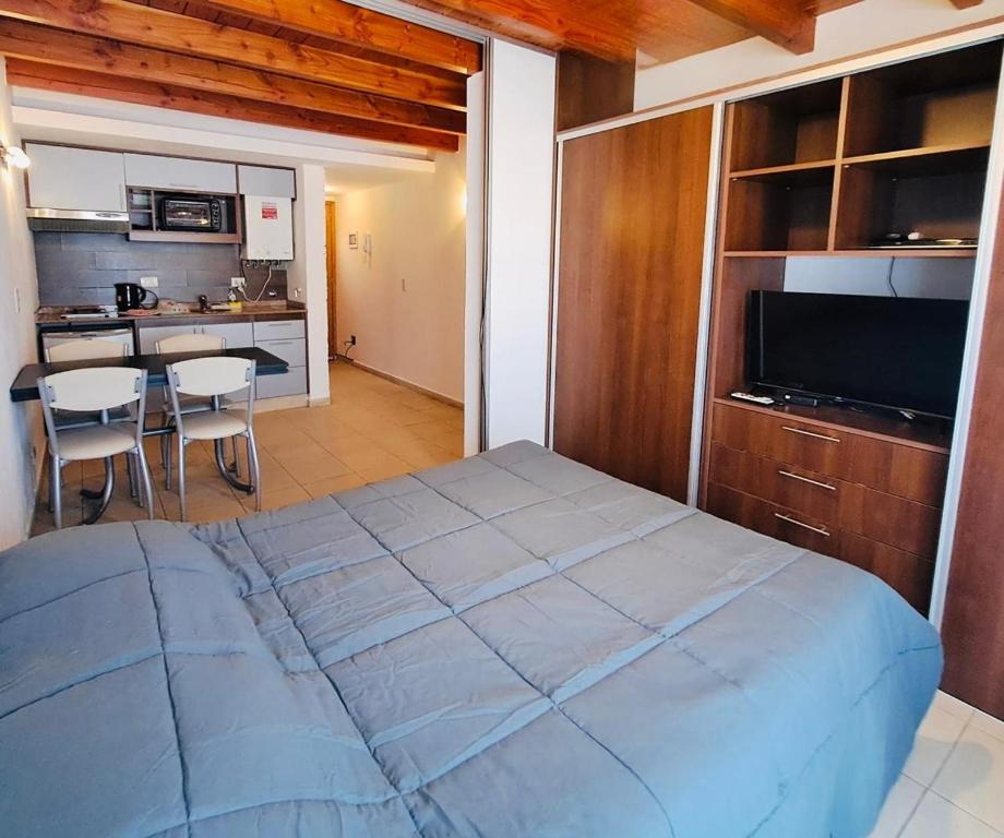 Amplio Monoambiente en el centro