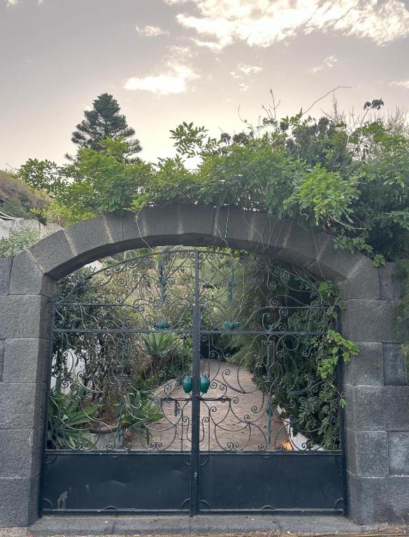 an iron gate with a garden behind it at Schicciolina in Stromboli
