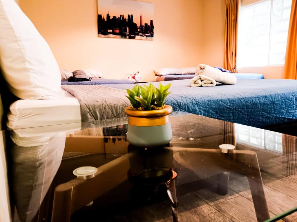a room with two beds and a glass table with a plant at Stay6 Confort en Grupo Durango in Durango