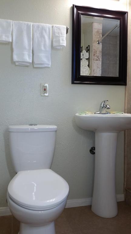 a bathroom with a white toilet and a sink at Trees Motel in Bishop
