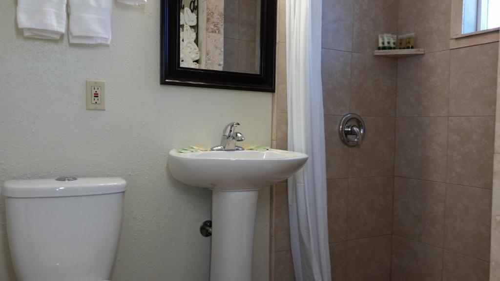 a bathroom with a sink and a toilet and a shower at Trees Motel in Bishop