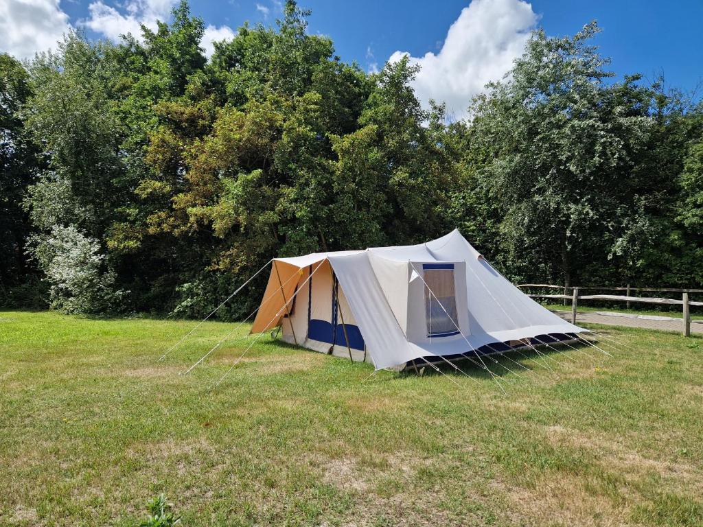 zelt 6 x 12 m TOOLPORT Hochwertiges Partyzelt 6x12 Pavillon PE Plane 450 N Gartenzelt Festzelt Bierzelt Wasserdicht grau-weiß Leather Finish:Natural AGU lange regenjas dames Downinsland scooter route Schauinsland