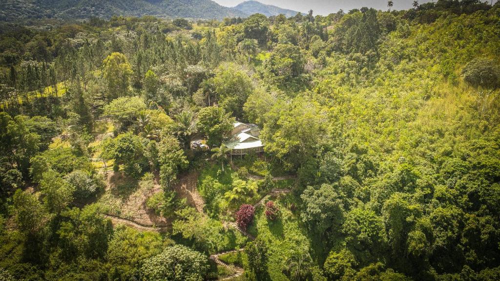an aerial view of a forest with a house in the middle at 3BR Riverside Secret Retreat in Jarabacoa