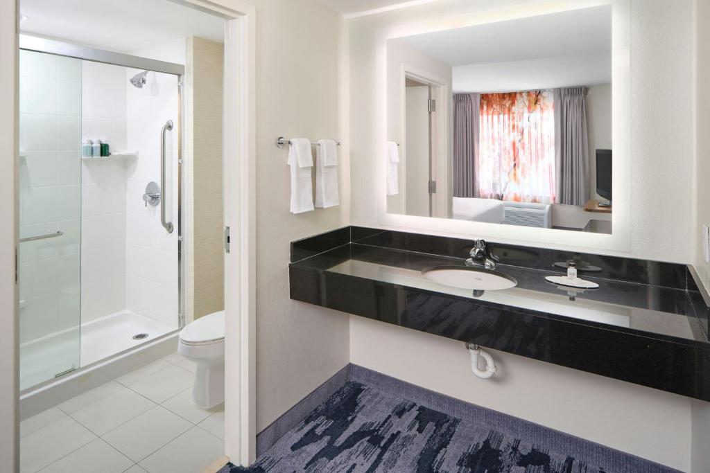 Fairfield Inn & Suites Raleigh Durham Airport Research Triangle Park - Zimmer Mit Kingsize-Bett